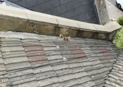 p a reeve roofing gallery 3